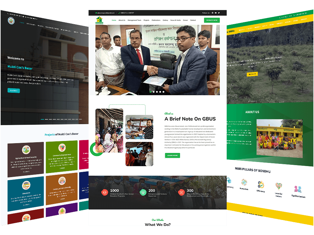 CMS-Based NGO Website