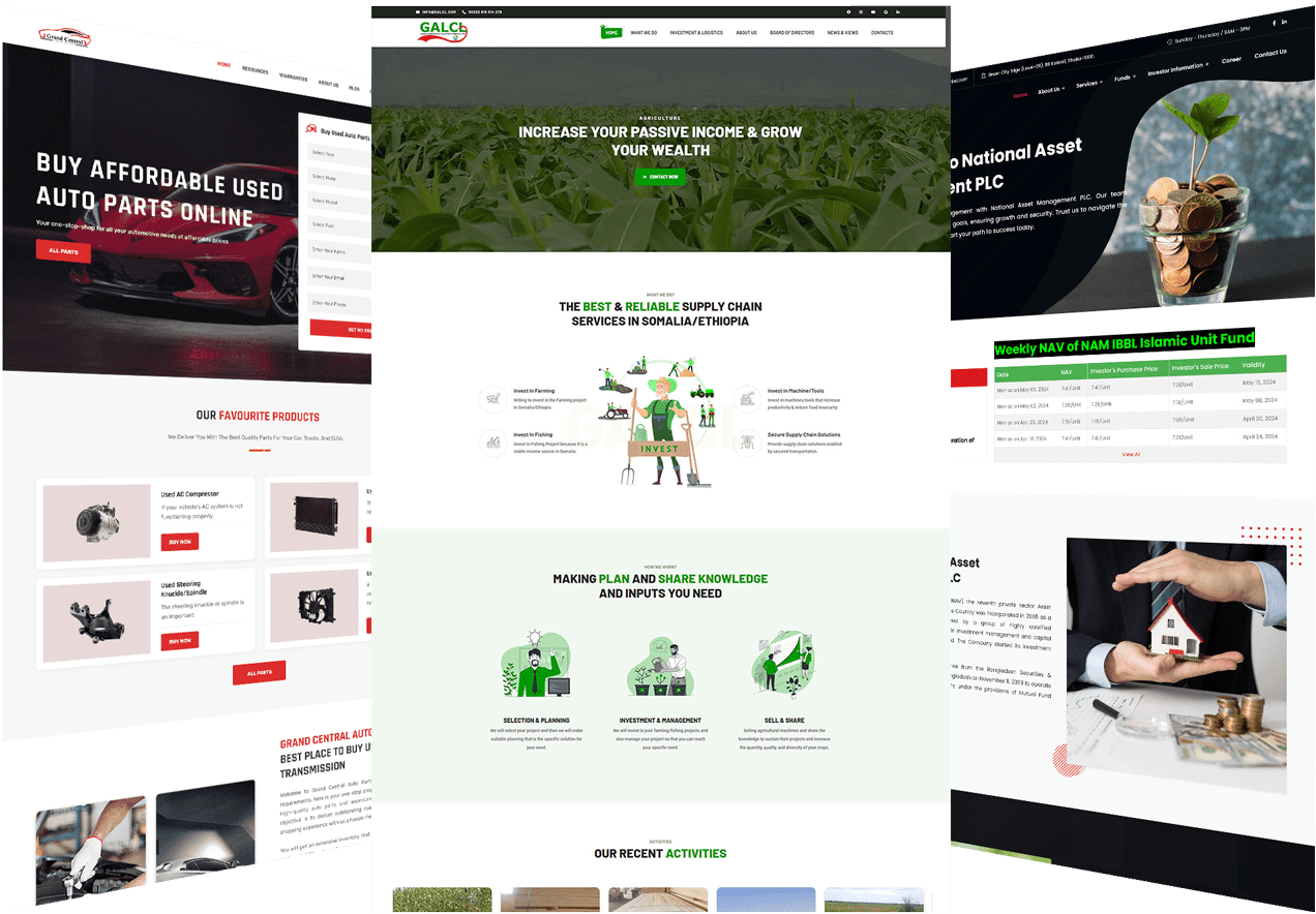 Best Business Website Design in Bangladesh