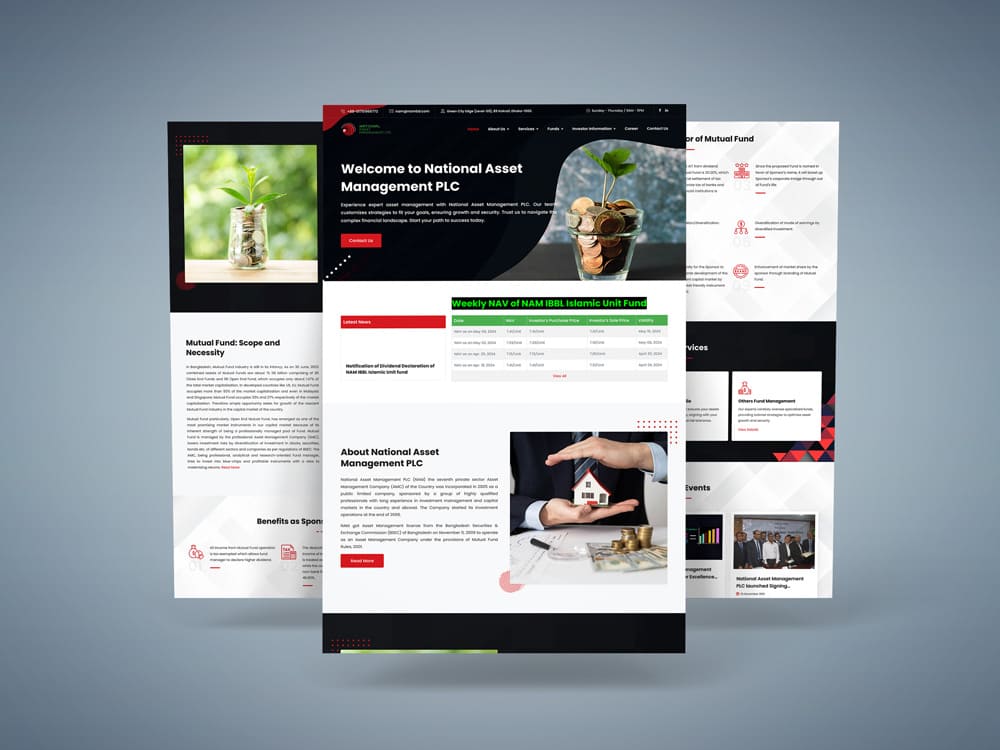 National Asset Management Ltd.